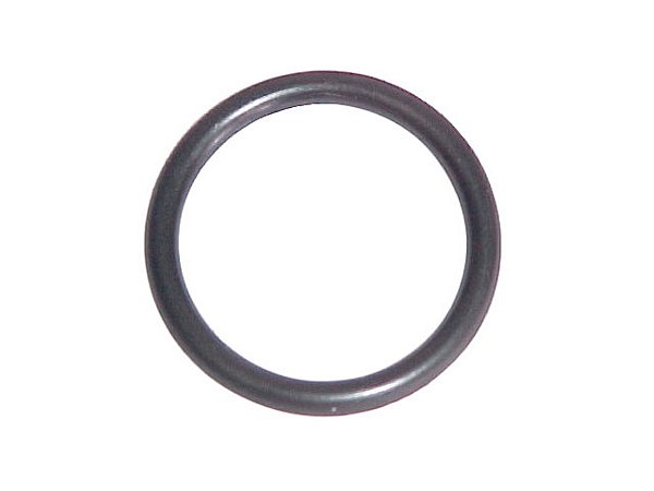 KIT Anel Oring Bico Injetor Med. 21X2,62 Para Sca 112/113 (269787)