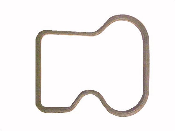 KIT Junta Tampa Valvulas Preta Para Sca F94/L94/P94 (1420776)