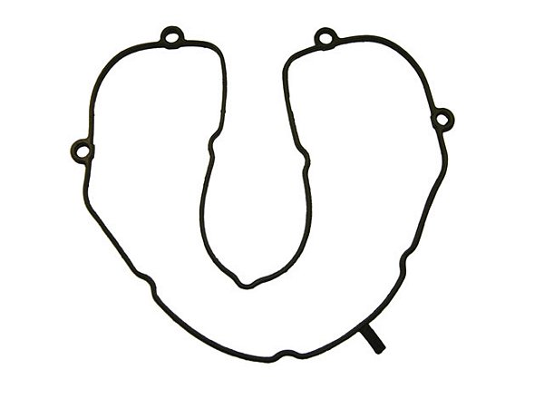 KIT Junta Radiador Oleo Borracha/Silicone Para Sca SERIE 4 (1445514)