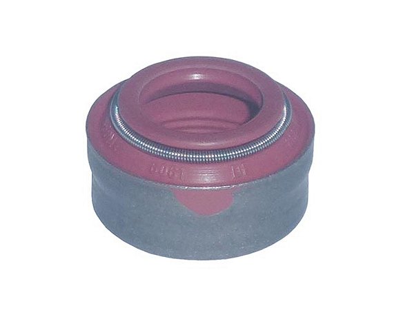KIT Retentor Valvula Motor Para Ive STRALIS/EUROTRAKKER/EUROSTAR (40101874)