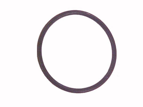 KIT Anel Oring 25.1X1.6MM Para Sca P-93 R-143 (804888)