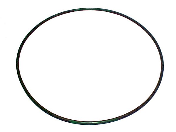 KIT Anel Cubo Roda Traseiro 255X5 Silic.Verde Mercedes 1933/1934/1935/1941/1630/2635 (0169974048)