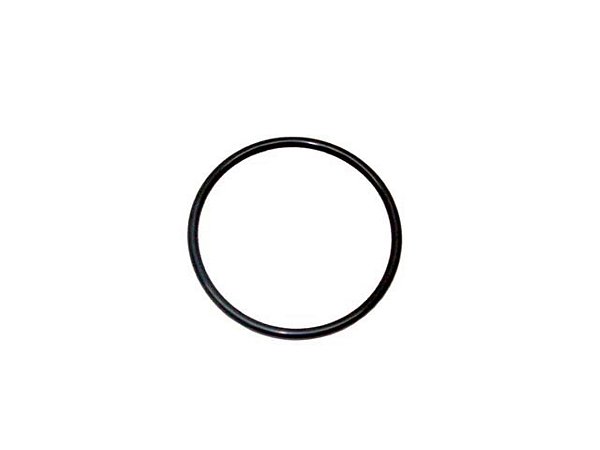 KIT Anel Bomba Oleo Motor 22MM Para Sca 94/110/111/112/113/114 (811031)