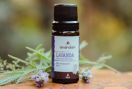 Óleo Essencial de Lavanda Francesa