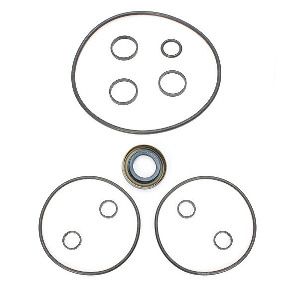 REPARO BOMBA DIREÇÃO HIDRÁULICA DODGE DAKOTA CHEVROLET S10 BLAZER JEEP CHEROKEE RENAULT MEGANE CHRYSLER CARAVAN E GRAN