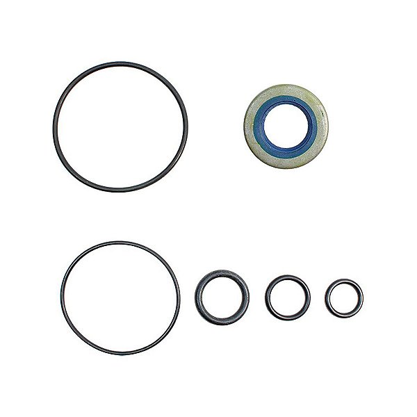 Reparo Bomba De Direção Hidráulica Omega Suprema Citroen ZX Tempra Tipo Explorer Ranger