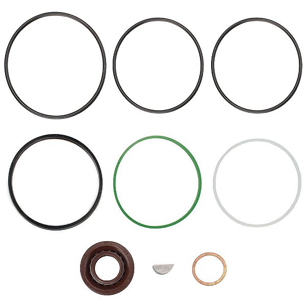 Reparo Da Bomba De Direção Hidráulica Volvo B58 N10 N12 - Modelo Da  Bomba ZF. 7673.698.018