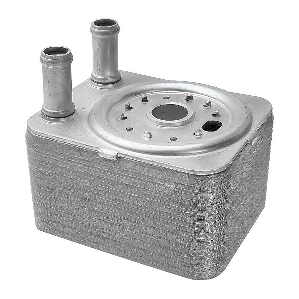 Resfriador Radiador De Óleo Volkswagen Passat Touareg Audi Q7 FSI -  038117021E