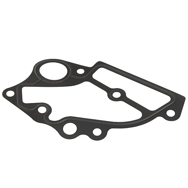 Junta Da Bomba De Água Audi A4 A5 A6 Q5 Q7 Porsche Cayenne Panamera - 06E121139H