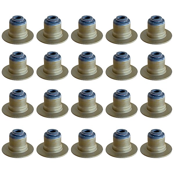 Kit 20 Retentores de Válvula Ford Transit 2.2 16v Ranger 3.4