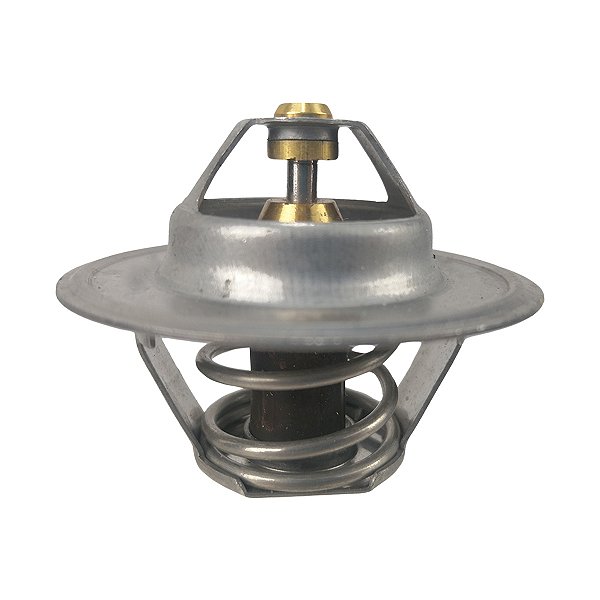 Válvula Termostática Chevrolet Opala Caravan - 52253085