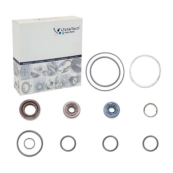 Reparo da Bomba de Direção Hidráulica Zf Iveco Eurocargo / Stralis - 8695955116