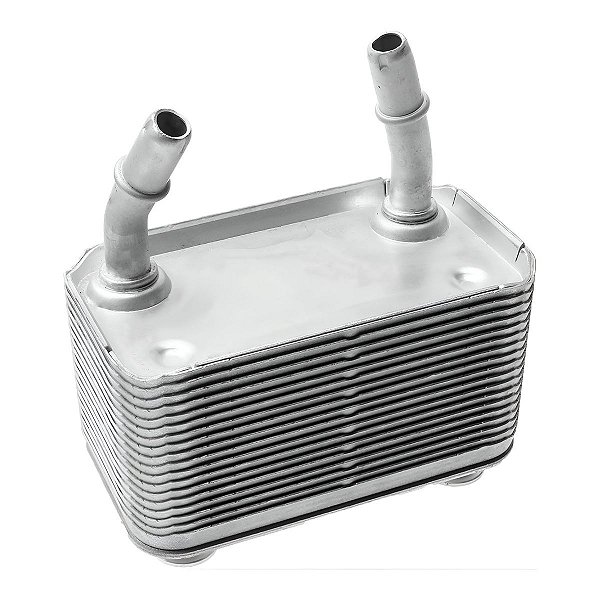 Suporte Resfriador De Óleo  BMW X5 E5 E53 3.0i 4.4i 6is - 17207500754