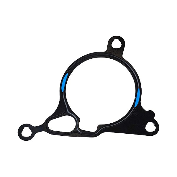 Junta Bomba Vácuo Vw Amarok Jetta Golf Audi A3 A4 Q3 TT  - 06H103121J