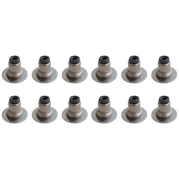 Jogo Rententores Válvula Captiva Omega Trailblazer 3.6 V6 12 Pçs