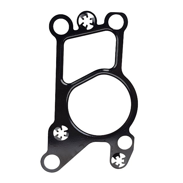 Junta da Válvula Egr  Fiat Toro  Jeep Renegade Compass 2.0 Diesel - 55254383 CI11861