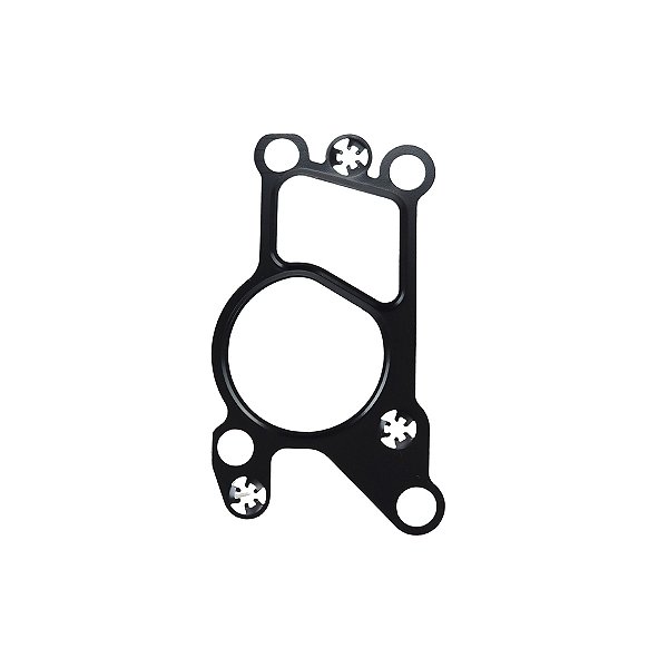 Junta Válvula Egr Fiat Toro Jeep Renegade Compass 2.0 Diesel - 55254383 CI116512