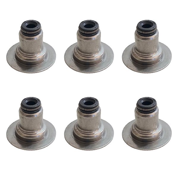 Kit 6 Rententores Válvula Captiva Omega Trailblazer 3.6 V6