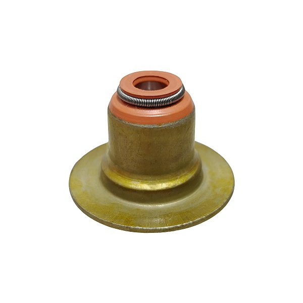 Retentor De Válvula Clio 206 1.0 16v D4D (Exeto Hi-Flex e Power)