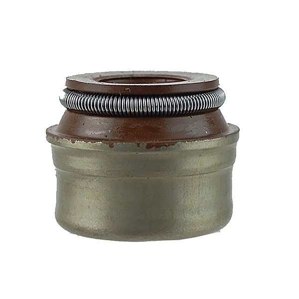 Retentor Haste Valvula Fiat Volkswagen 8v 16V