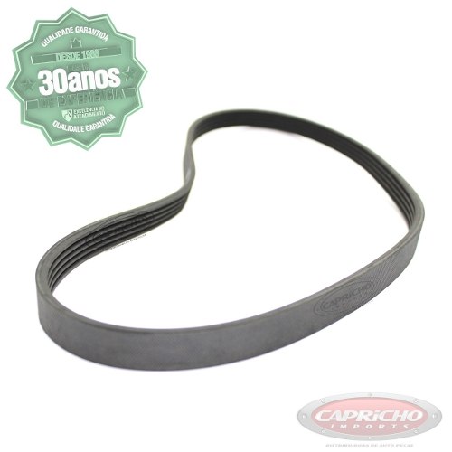 Correia Alternador Poly-v Peugeot Citroen Renault 6pk1663