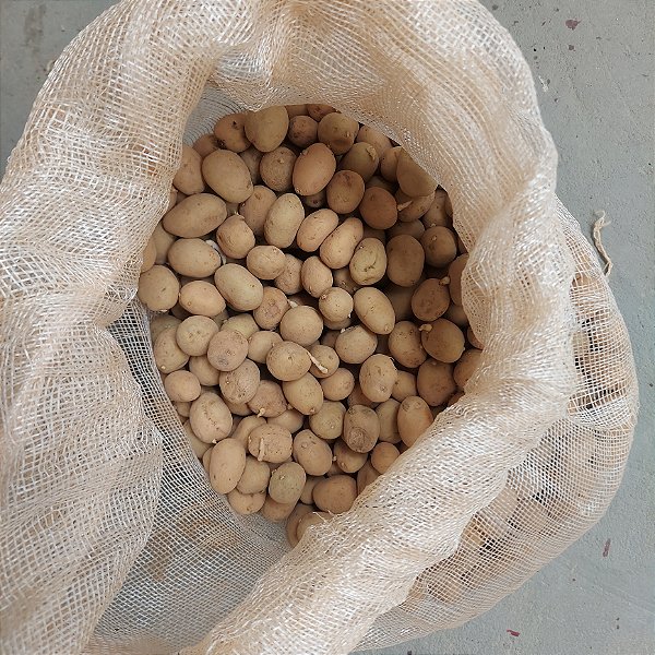 30 Sementes De Batata Inglesa P/ Fritar,  Assar Ou Cozinhar