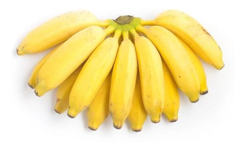 Kit 20 Mudas De Banana Maçã, Prata Ou Nanica - Monte Seu Kit