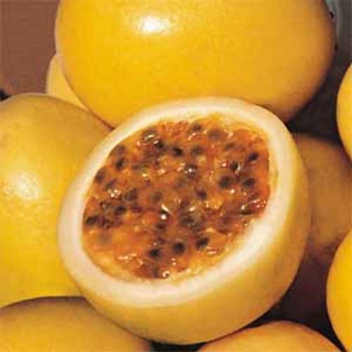 1 Muda De Maracujá Amarelo Produtiva Suco E Polpa + Manual