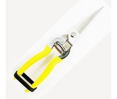 Kit 1 Tesoura Poda Frutas + 1 Tesoura Poda Orquídeas