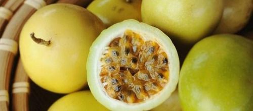 10 Kits - Adubo Completo Para Plantio De Mudas De Maracujá
