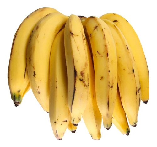Kit 5 Mudas De Banana Da Terra Ou Maranhão + Manual