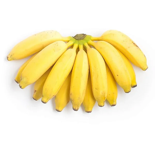 Kit 5 Mudas De Banana Nanica, Prata, Maçã E Terra + Manual