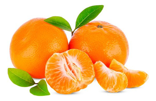 Kit 8 Mudas De Laranja Murcote - Mexerica + Manual