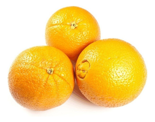 Kit 3 Mudas De Laranja Bahia Enxertada + Manual De Plantio