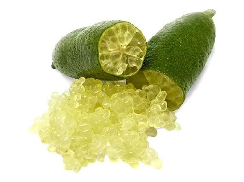 1 Muda De Limão Caviar Enxertada + Manual De Plantio