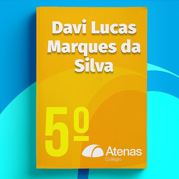 Davi Lucas Marques da Silva