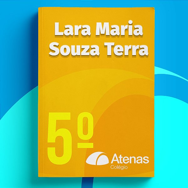Lara Maria Souza Terra