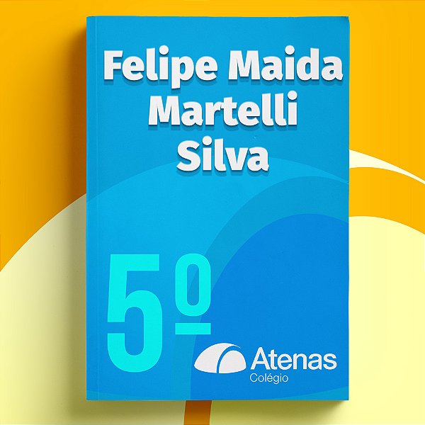 Felipe Maida Martelli Silva