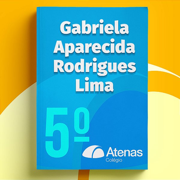 Gabriela Aparecida Rodrigues Lima