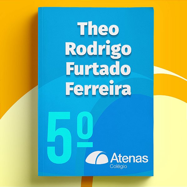 Theo Rodrigo Furtado Ferreira