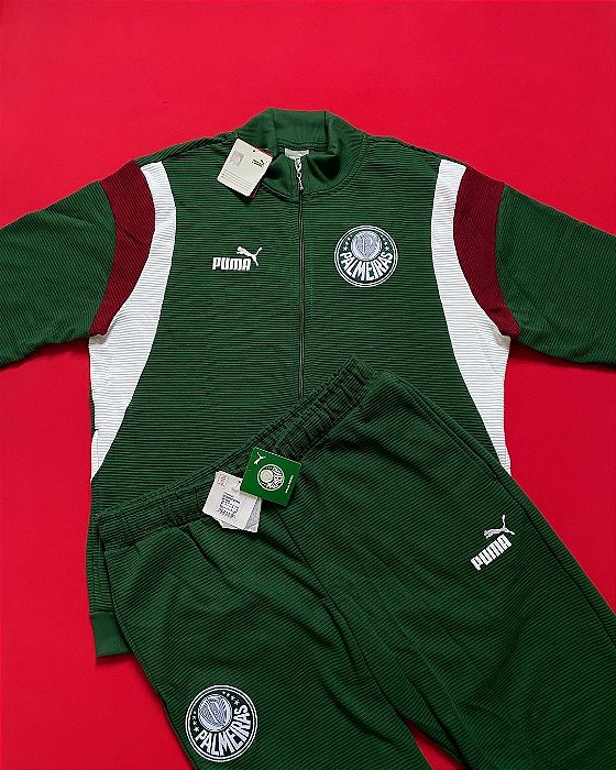 Conjunto Puma Palmeiras FTBLARCHIVE Masculino