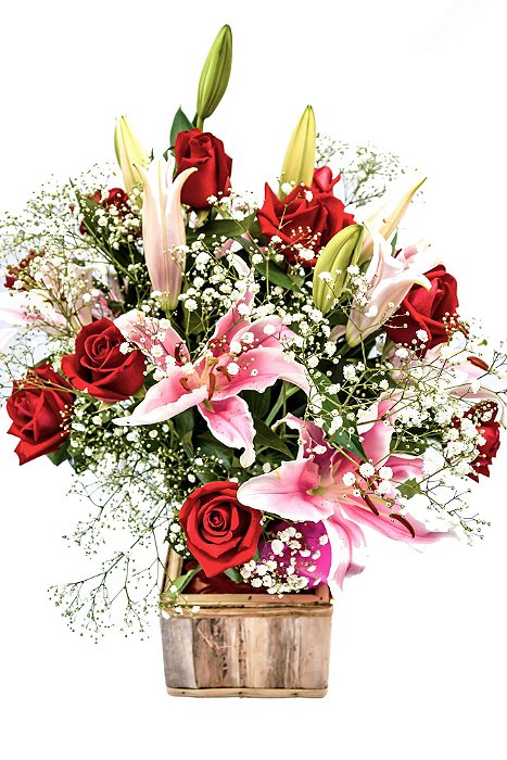 Perfeição de Rosas e Lírios