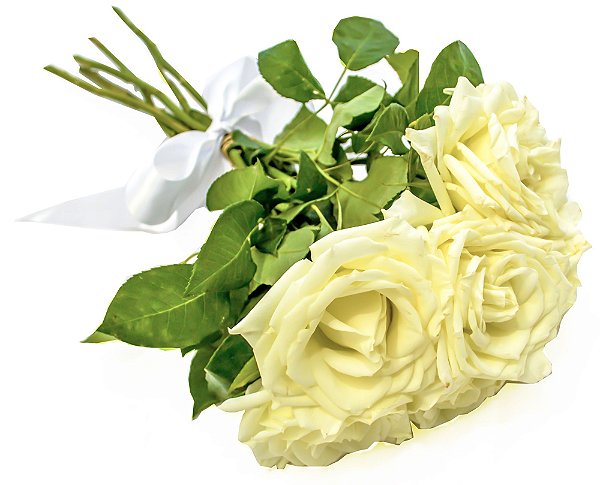 Buquê de Rosas Brancas - 3 ou 6 unidades