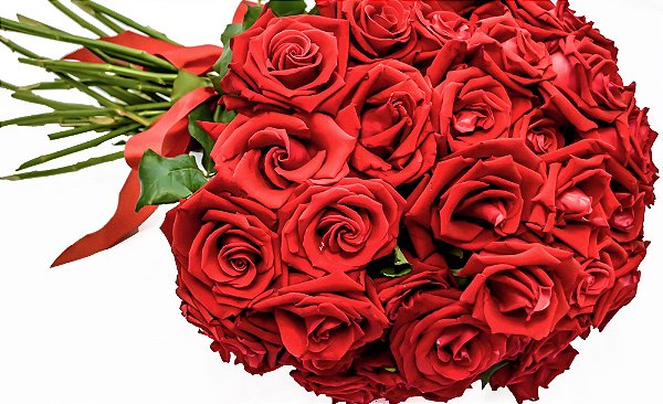 Buquê de Rosas Grande - 48, 50 ou 60 unidades