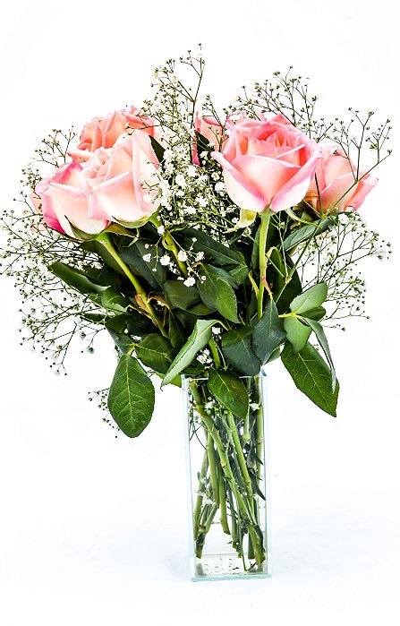 Elegância de Rosas Cor de Rosa