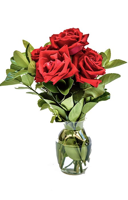 Brisa de Rosas Vermelhas