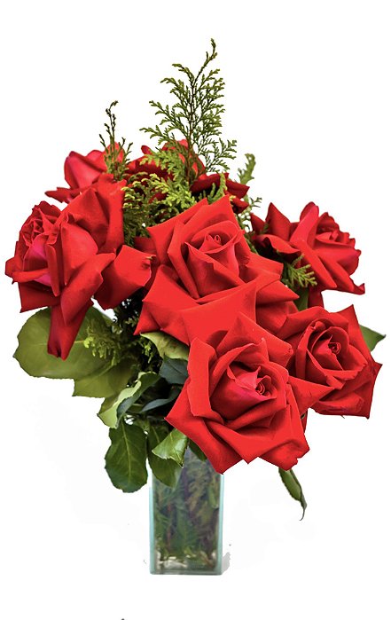 Arranjo de Rosas Vermelhas - Estrela Flores