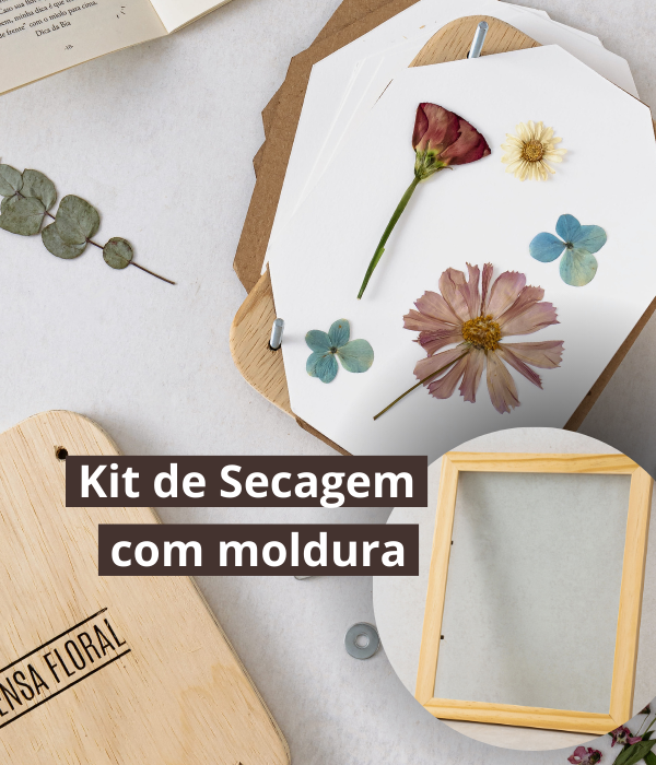 KIT + MOLDURA