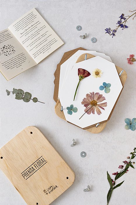 KIT DE SECAGEM DE FLORES