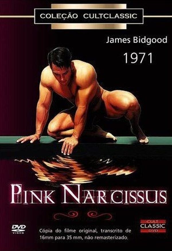 Dvd - Pink Narcissus - James Bidgood